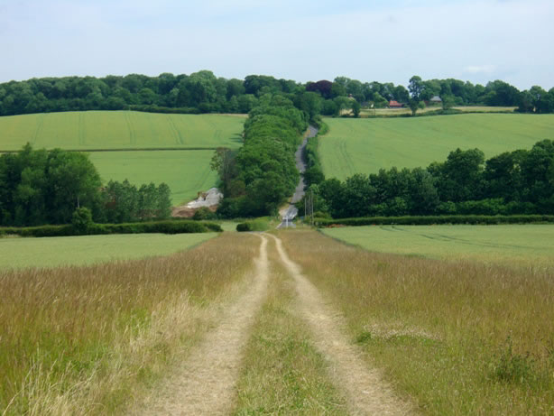 Rolling topography and woodlands in Elmdon Lee.