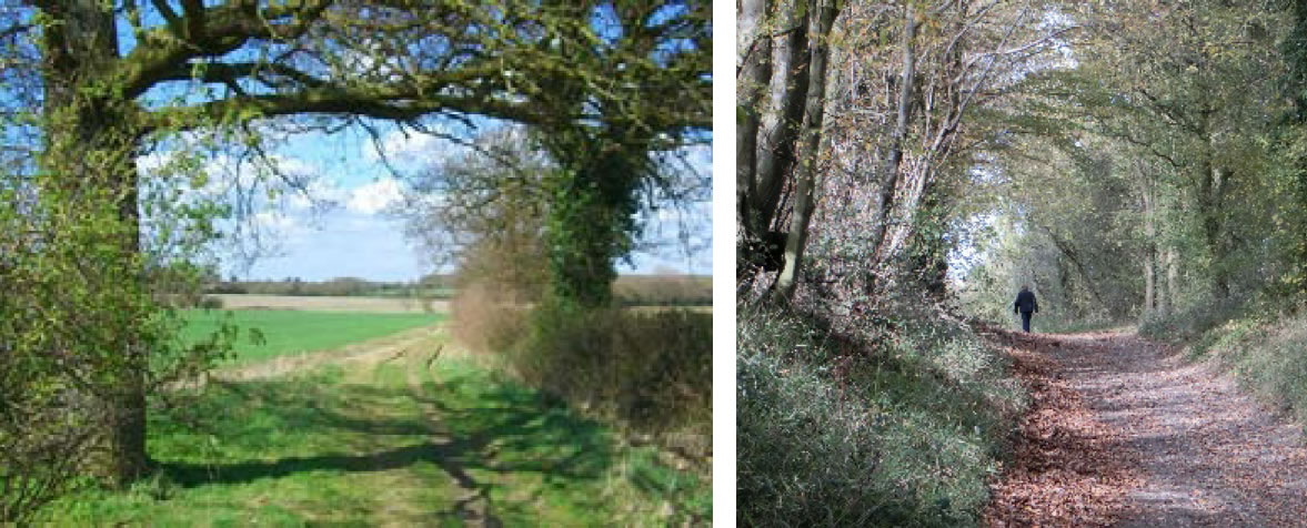 Cobbs Lane in Takeley and Harcamlow Way near Quendon and Rickling.