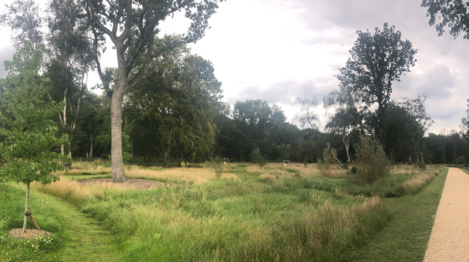 Paths may be included in ancient woodlands to encourage pedestrians to keep to specified route. Planted Buffer zones will also help to limit access.