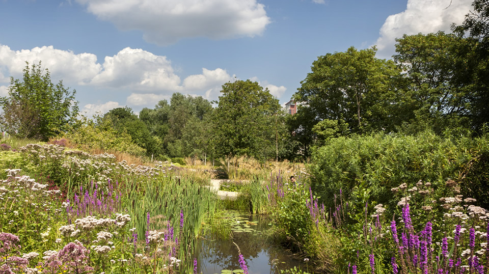 Landscape design should incorporate rivers and streams to enhance and extends habitats and ecological networks.