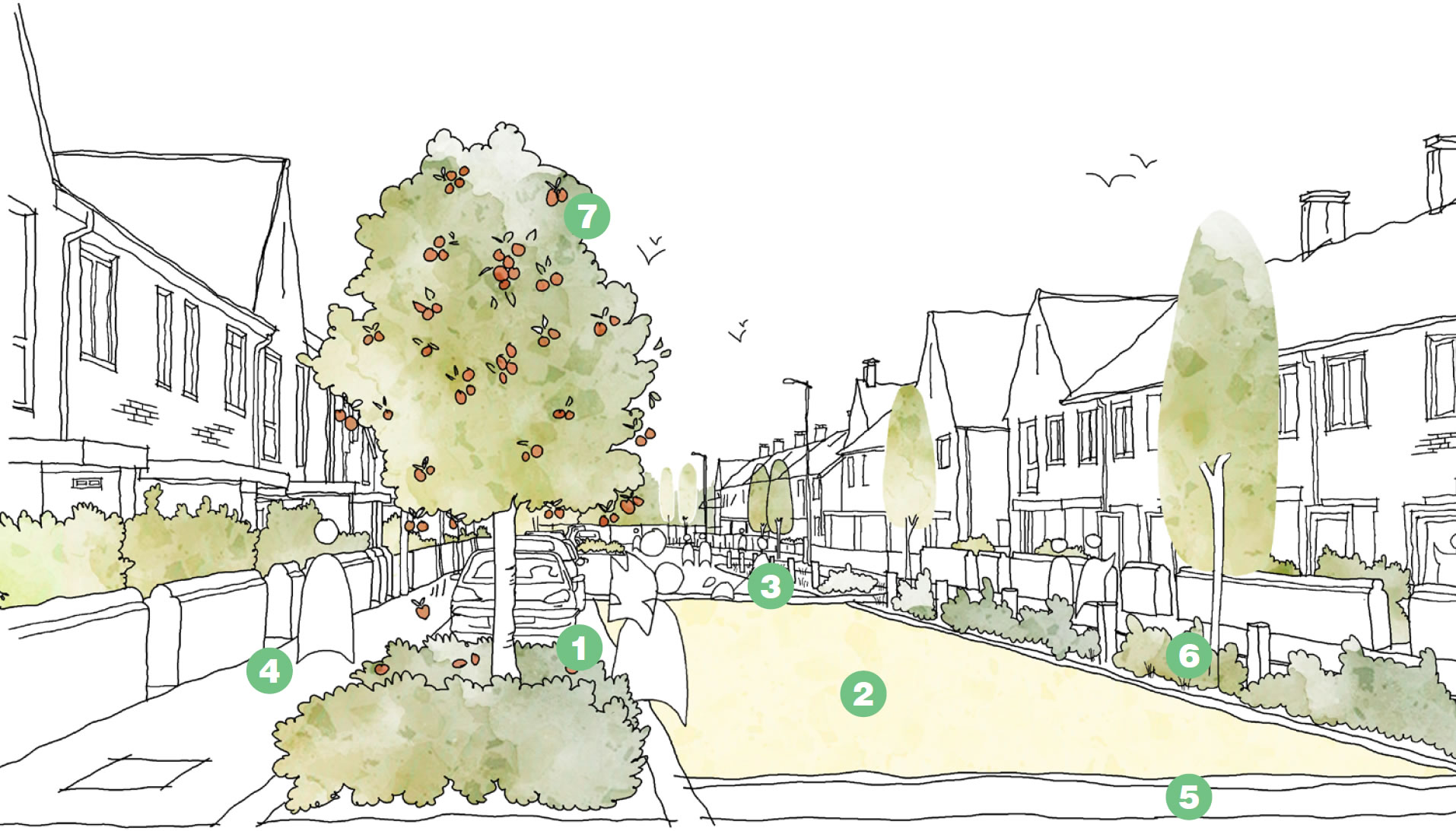 Illustrative sketch for a successful Local Street.