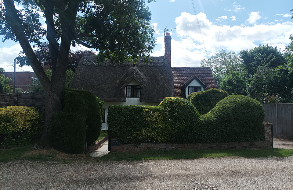 Thatched roof, dormer windows and hedged boundaries Cottage on Stortford Road.