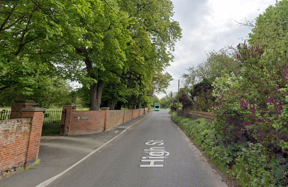 Trees play an important role in the High Street scene in Great Chesterford with vertical emphasis and visual focal points from public view points.