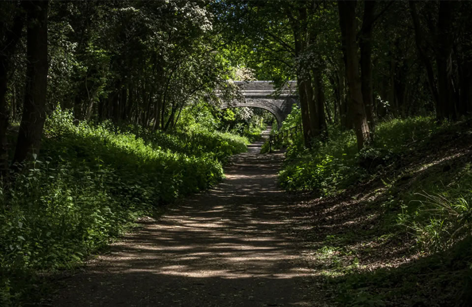 The Flitch Way embraces features of the old railway line while enclosed with mature trees between Takeley and Little Canfield.