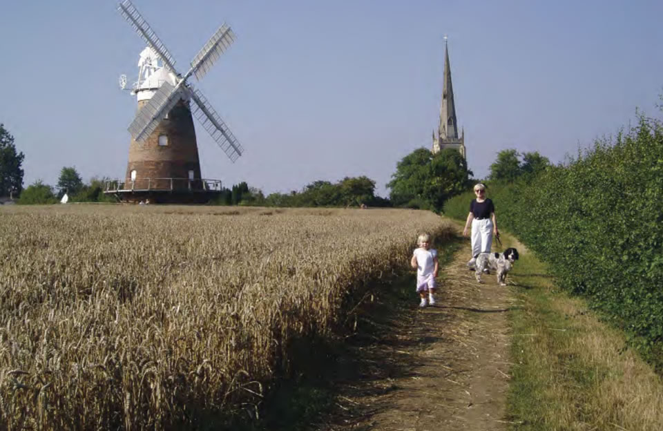 Paths wind through the farmland landscape to the backdrop of historic landmarks, John Webb windmill and St. John the Baptist with Our Lady and St. Laurence.