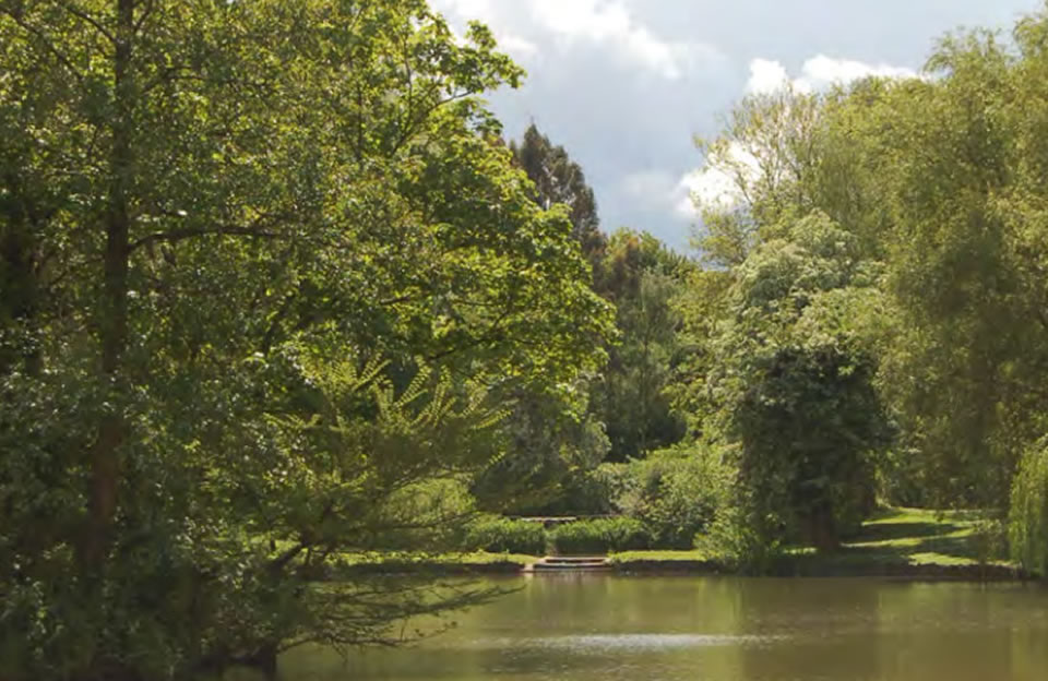 Water creates tranquillity at Horse Ponds in Little Easton lapping to the side of the road, trickling over weirs or reflecting the sky glimpsed through the many mature trees.