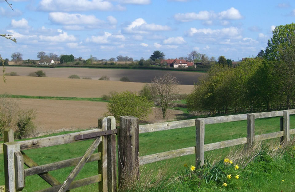 Valley topography frames a view of the open countryside in Broxted.