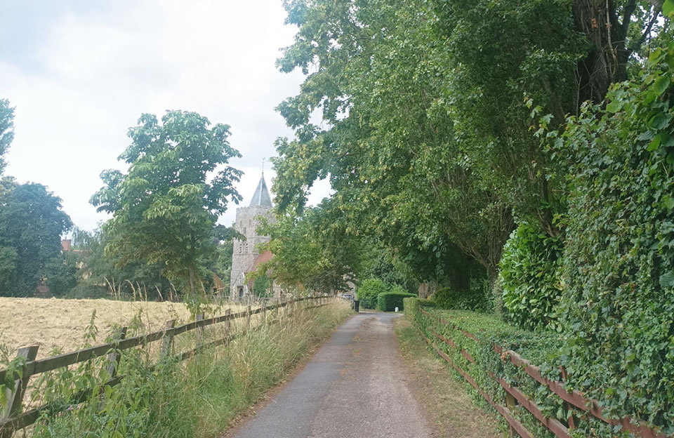 Windbreaker trees provide vertical emphasis and frame a view of the church in Little Bardfield.