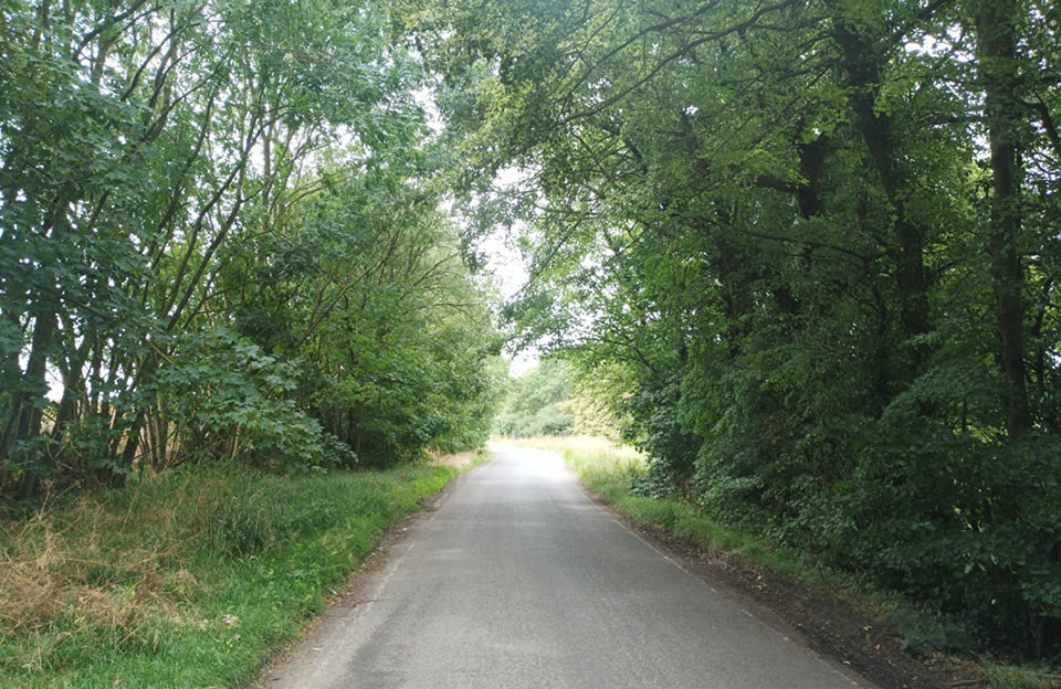 Trees enclose and overhang rural lanes in Uttlesford.