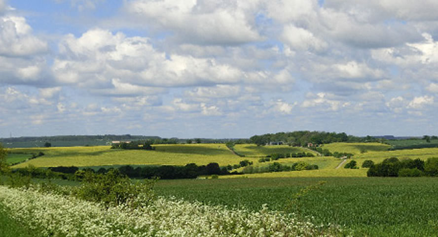 Views of rolling fields interspersed with small patches of woodland near Saffron Walden.