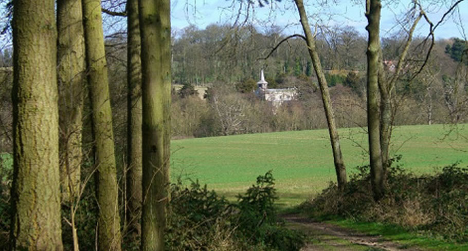 View of the church on higher ground beneath woodland in Debden.